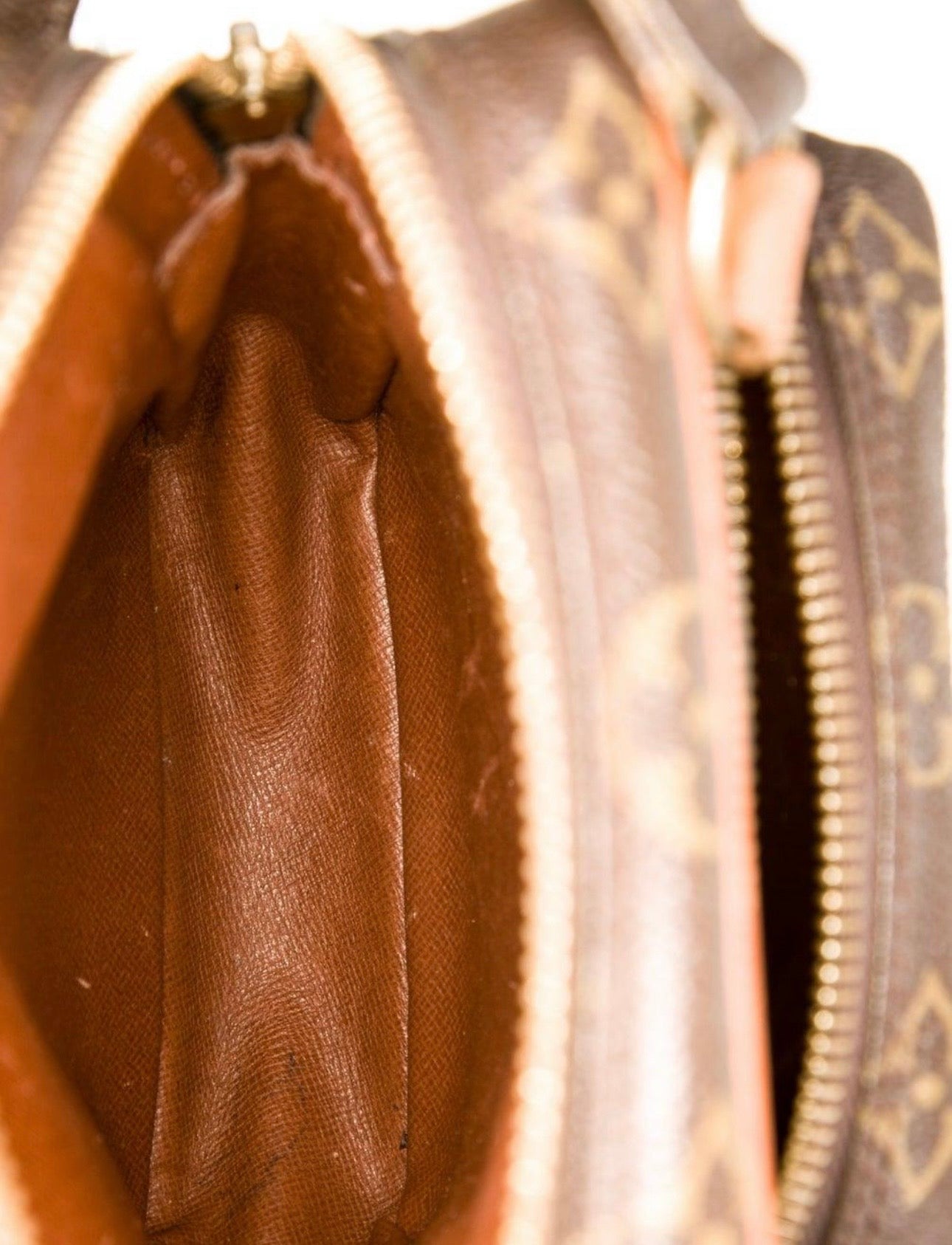 Louis Vuitton Amazon bag